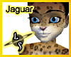 LS Jaguar Skin