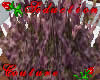 Flowering Cherry Tree