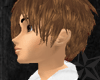 [A] Honey Brown Eli