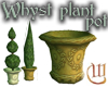 Terra Cotta Plant Pot