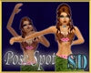 SD Hula Dance Spot
