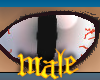  PHz ~ Large Slit Eyes M