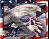 remembering 9/11*