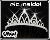 602 Bling Diamond Tiara