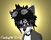 Twilight Wolf Ears