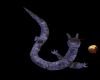 Prpl Dragon Pet/animated