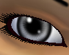 Stare ~Grey~