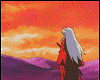 Sunset Inuyasha