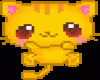 [a] cute cat