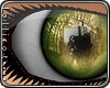 *L� iMirror Hazel
