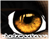 Orange-Eyes