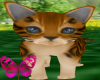 ~A~Bengal Tiger