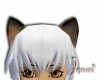 ^j^ Mithra Atheala