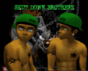 {SDB} BACKWARD FITTED