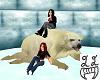Polar Bear Seat
