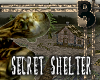 Secret Shelter