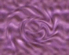BPhatt PurplePassion Fit