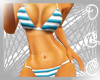 *DGC Basic Bikini Blue