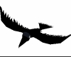R Witches Blackbird