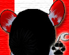 [N]Canadian Bear Ears