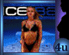 Fire And Ice Bar