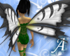Black/White Faery Wings