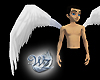 DLUX Angel Wings White