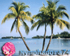 Carribean Island