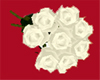 � White Roses