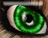 SeMosInspiration-Green