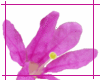 Pink Flower,clic for pic