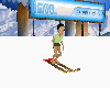 ANIMATED STATION SKI 2
