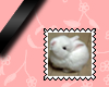cute white bunny stamp