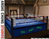 [ACS] BOXING RING
