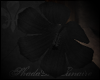 Black Hibiscus [R]