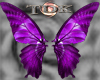 Fantasy Butterfly Wings