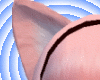 Pink Hedgehog Ears