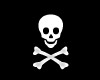 Tiny Skull