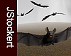 AP Vampire Bat Quartet