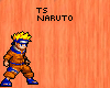 Sasuke Banner