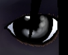 L~Doyle Eyes
