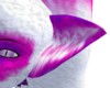 -H.E.-GrapegumKitty Ears