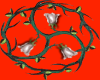 Circlet of white roses