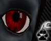 [N]Red Eyes