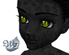 Panther Skin