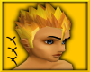 Gohan- Saiyan Golden