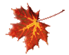 sticker_2487428_4350148