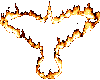 Phoenix (rebirth)