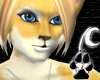 [N]Goldenwolf Ears