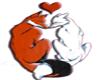 Fox love